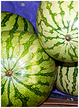 Obst